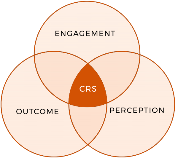 customer-relationship-score-crs Customer Relationship Score CRS CRM Strategies